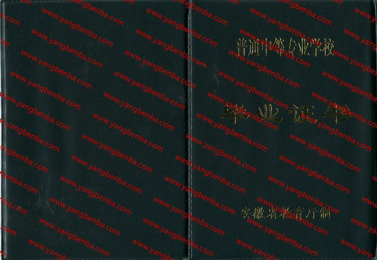 安徽省中专毕业证样本