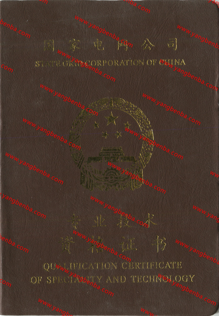 国家电网公司专业资格证书样本