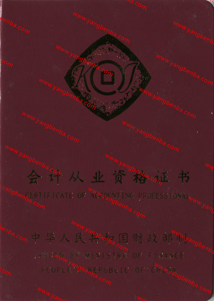 会计从业资格证样本