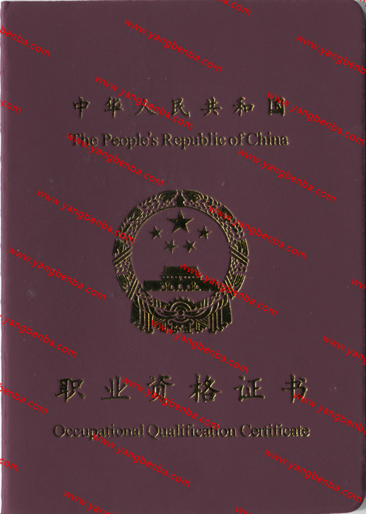 一二三四五级职业资格证书样本