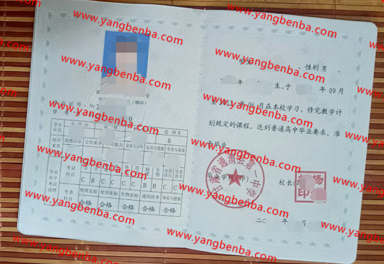 甘肃省通渭县第一中学毕业证样本