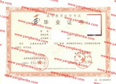 电子科技大学自考毕业证样本