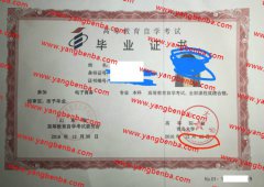 青岛大学自考毕业证样本