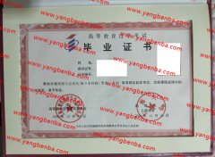 上海大学自考毕业证样本