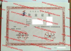 西北政法大学自考毕业证样本