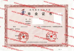 新疆大学自考毕业证样本