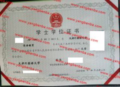 天津外国语大学学士学位证书样本