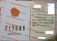 郑州航空工业管理学院学士学位证书样本