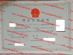 中国石油大学(华东)学士学位证书样本