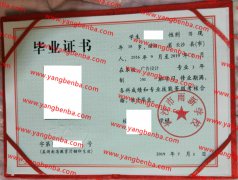 长沙市雨新学校中专毕业证样本