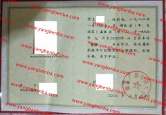 湖北广播电视大学中专毕业证样本