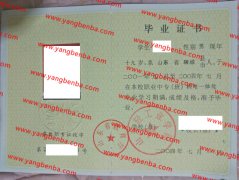 山东轻工业学院中专毕业证样本