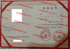 国防科技大学自考毕业证样本