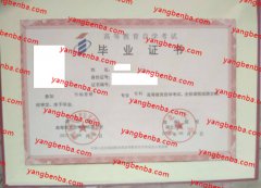 湖北大学自考毕业证样本