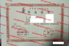 山东师范大学自考毕业证样本