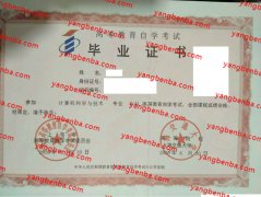 上海交通大学自考毕业证样本