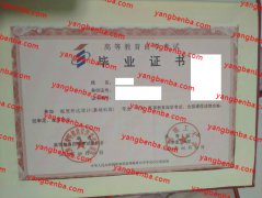 天津理工大学自考毕业证样本