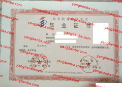 重庆大学自考毕业证样本