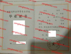 甘肃省华亭县职业教育中心中专毕业证样本