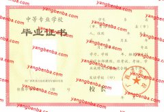 广西卫生学校中专毕业证样本
