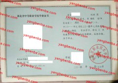 黄陂区职业技术学校中专毕业证样本