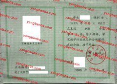 吉林四平卫生学校中专毕业证样本