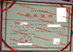 临沂科技学校中专毕业证样本