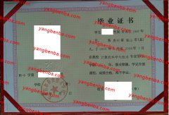 黔南民族职业技术学院中专毕业证样本