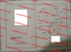 濮阳市油田职业中等专业学校中专毕业证样本