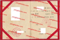 汝州市职业中等专业学校中专毕业证样本