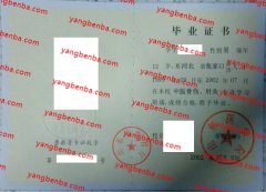 山东医学院中专毕业证样本