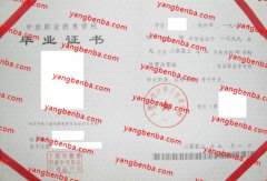 上海市统计职业技术学校中专毕业证样本