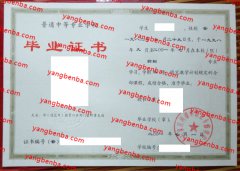 石家庄柯棣华职业专修学院中专毕业证样本