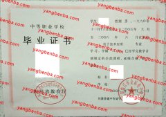 四川内江市金标电子学校中专毕业证样本