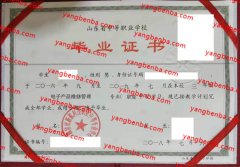 潍坊市新航科技职业中等专业学校中专毕业证样本