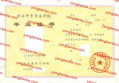 瓦房店市第一中等职业技术专业学校中专毕业证样本