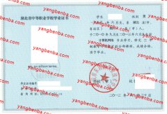 武汉市东西湖职业技术学校中专毕业证样本