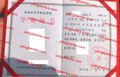 湘乡市华光电子工业学校中专毕业证样本