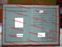 盐利县职业技术教育中心中专毕业证样本