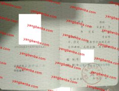 云南广播电视大学中专学校中专毕业证样本