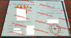 中央广播电视中等专业学校中专毕业证样本