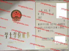 北京石油化工学院学士学位证书样本