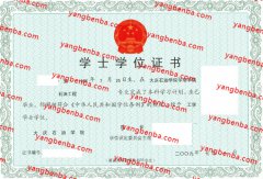 大庆石油学院学士学位证书样本