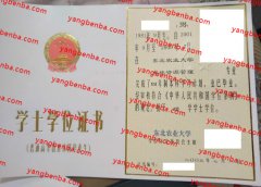 东北农业大学学士学位证书样本