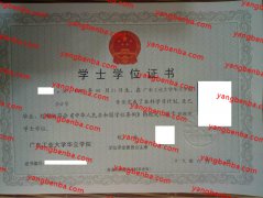 广东工业大学华立学院学位证书样本