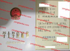 河北医科大学学士学位证书样本