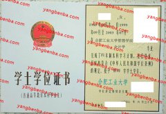 合肥工业大学学士学位证书样本