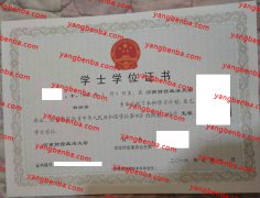 河南财经政法大学学士学位证书样本
