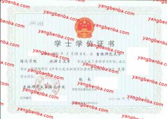 吉林师范大学博达学院学士学位证书样本