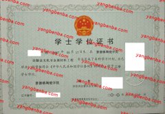 景德镇陶瓷学院学士学位证书样本